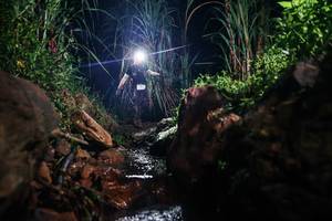 BIB: 
                            <button type="button" onclick="openModal(26413099)" class="btn btn-primary btn-sm float-right btn-popup" data-toggle="modal" data-target=".modal-high-quality">
                        <i class="fas fa-shopping-cart"></i> Add to Cart
                    </button>
                                            <button type="button" onclick="isThisMe(26413099, true)" class="btn btn-success btn-sm float-right btn-popup btn-isme hidden" data-toggle="tooltip" data-placement="bottom" title="นี่คือรูปของคุณใช่ไหม คลิกที่นี่เพื่อเอาเข้าอัลบั้ม">
                        <i class="fas fa-plus"></i> Add to album
                    </button>
                    <button type="button" onclick="isThisMe(26413099, false)" class="btn btn-warning btn-sm float-right btn-popup btn-isnotme hidden">
                        <i class="fas fa-ban"></i> Remove from album
                    </button>